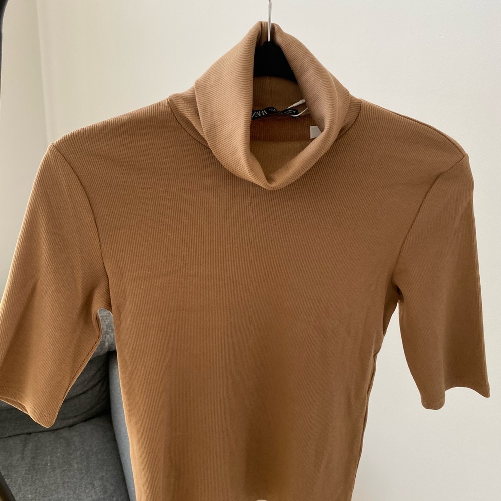 Zara Turtleneck